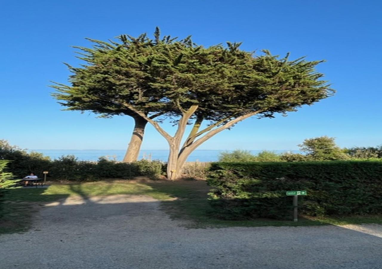 Mobilhomes Quiberon Camping Conguel - Bord De Mer Kültér fotó